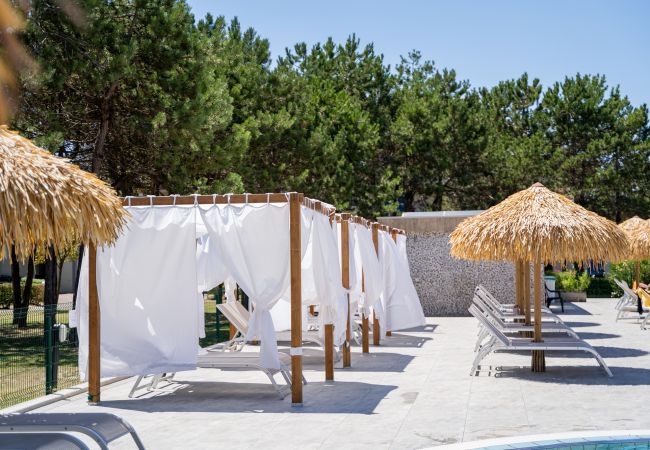 Appartamento a Bibione - Apt. su 1 piano+ampio terrazzo e 1 camera da letto Appartamento a Bibione - Apt. su 1 piano+ampio terrazzo e 1 camera da letto